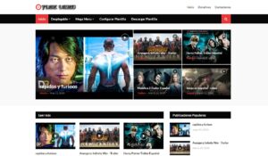 Tube Video – Videos de todo tipo en Blogger